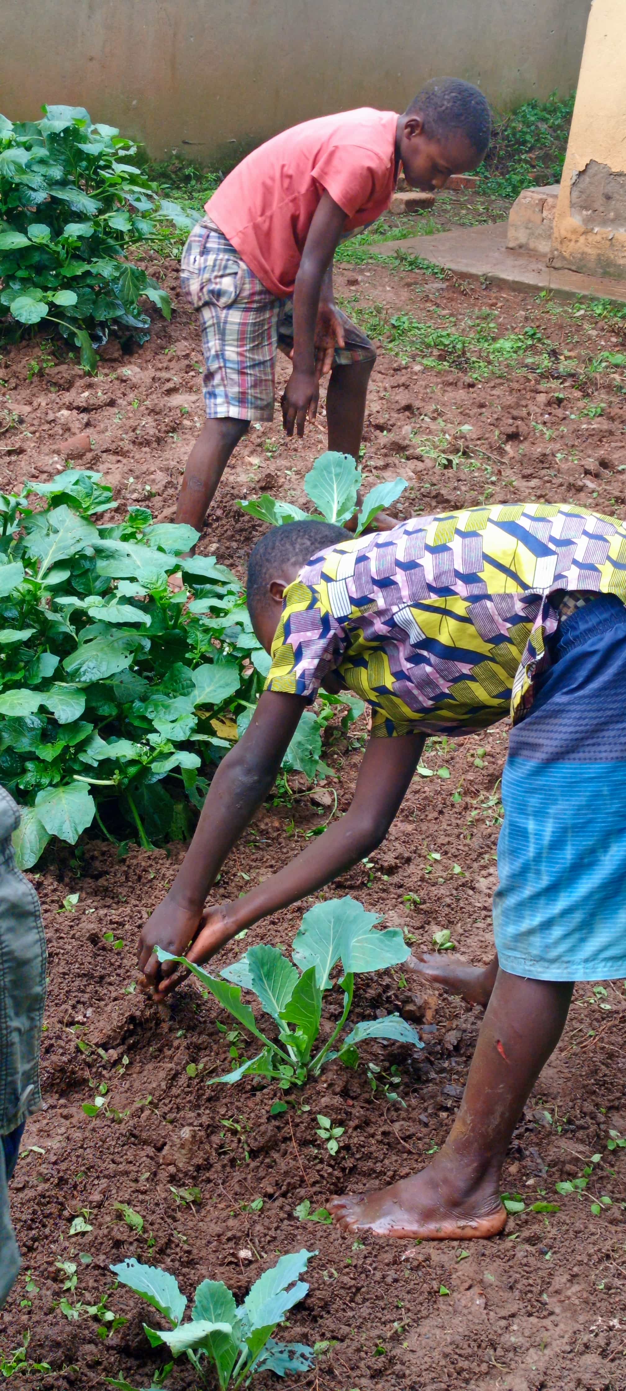 Community garden project